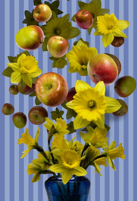 Apples_Daffodils_Vase2 SPRING